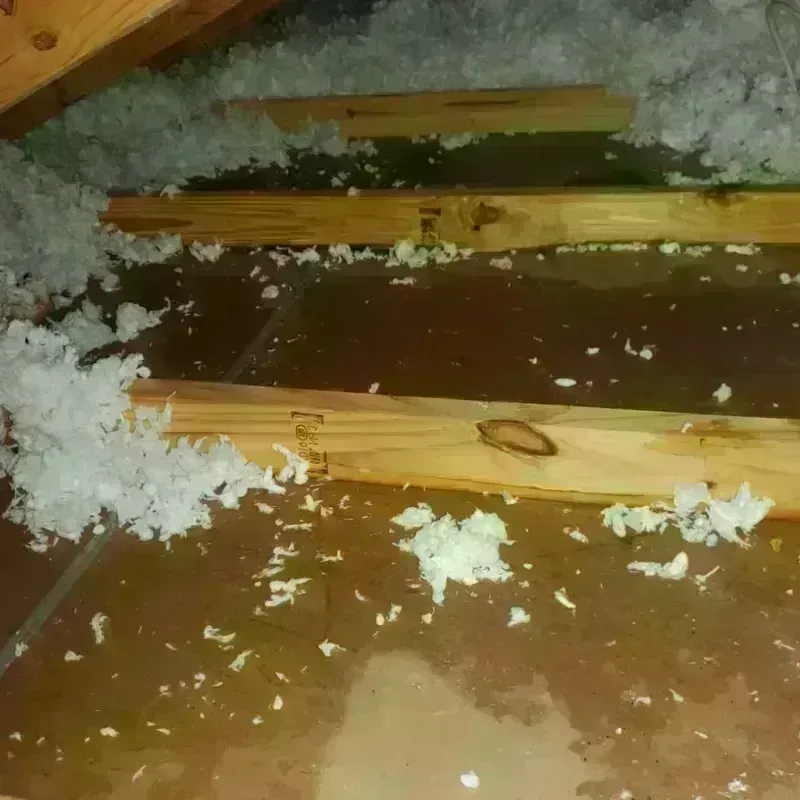 Attic Water Damage in Erda, UT